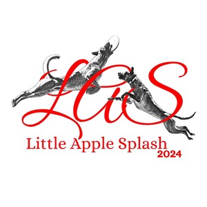 Little Apple Splash Fund