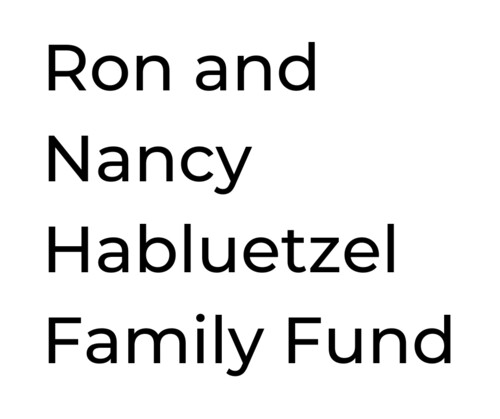 Ron and Nancy Habluetzel Family Fund