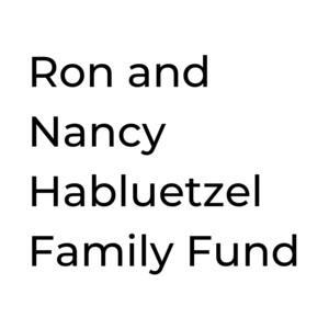 Ron and Nancy Habluetzel Family Fund